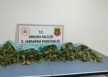 Ankara’da narkotik operasyonu