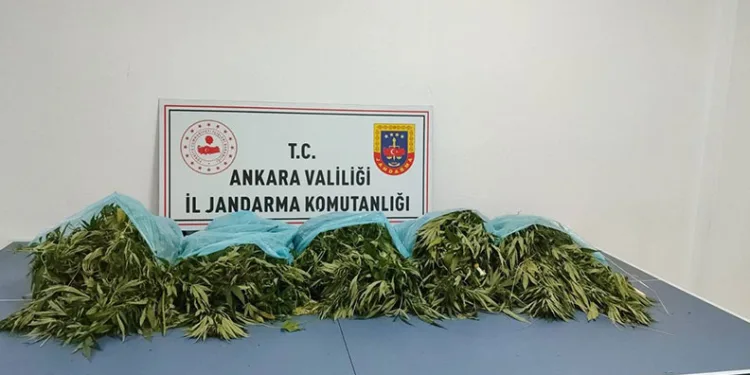 Ankara’da narkotik operasyonu