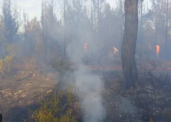 Çanakkale’deki orman yangını kontrol altına alındı