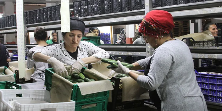 Batı Akdeniz’den 8 ayda1 milyar 765 milyon dolar ihracat
