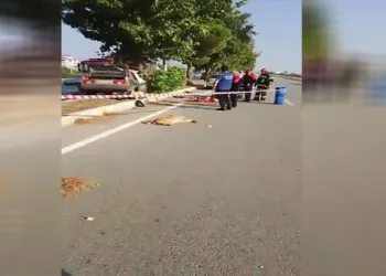 Yola çıkan köpek kazaya neden oldu: 1 ölü, 2 yaralı