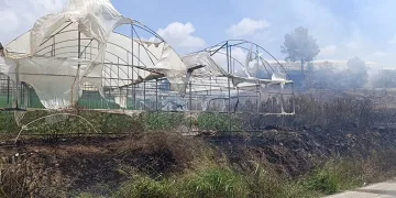 Tarım arazisi yandı, 3 sera zarar gördü