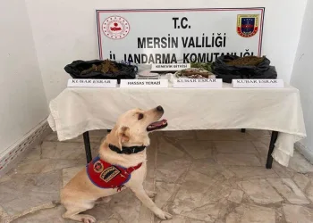 Mersin’de uyuşturucu madde operasyonu: 3 gözaltı