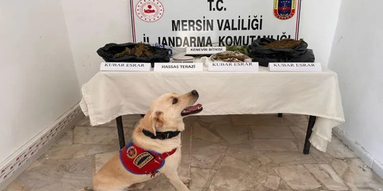 Mersin’de uyuşturucu madde operasyonu: 3 gözaltı
