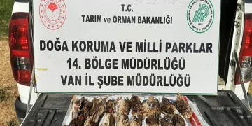 Kota aşımı yapan 3 avcıya 57 bin 373 lira cezai işlem uygulanacak