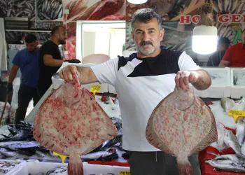 Balıkçı tezgahları renklendi