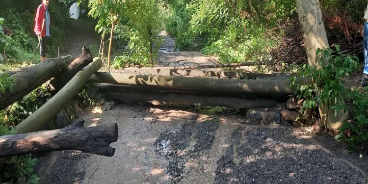Artvin’de şiddetli yağış sel ve su taşkınlarına neden oldu