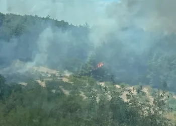 Bursa’da çıkan yangın kontrol altına alındı