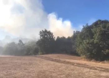 Bursa Söğütalan’da yangın