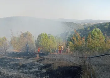 Yenişehir’de çıkan yangına havadan ve karadan müdahale edildi