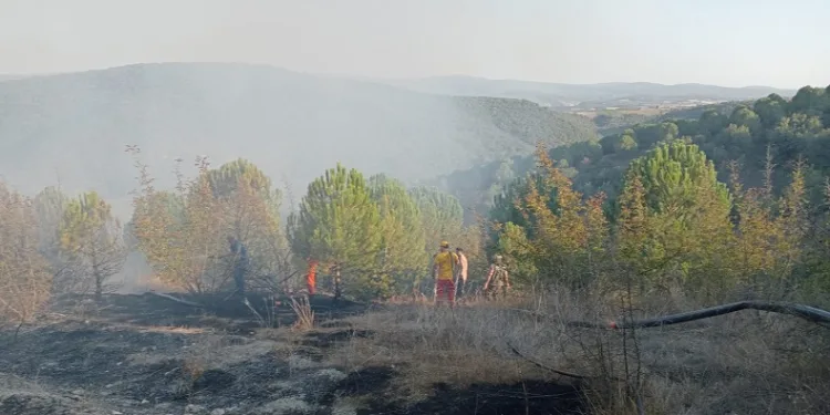 Yenişehir’de çıkan yangına havadan ve karadan müdahale edildi