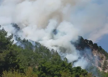 Antalya’da orman yangını