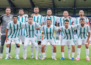 Düzcespor – Bursaspor maçının özeti