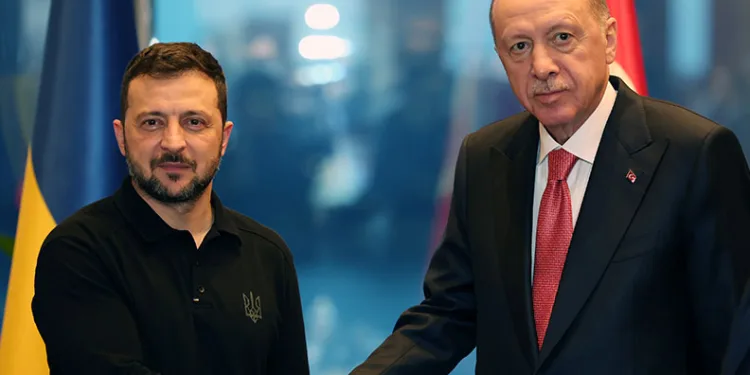Erdoğan Zelenskiy’le görüştü