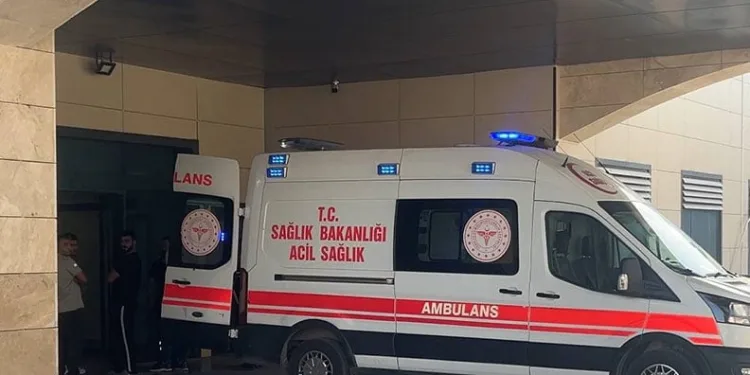Birlikte yaşadığı kadını satırla ağır yaraladı