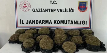 Otobüsün bağajından 18.5 kilo skunk ele geçirildi
