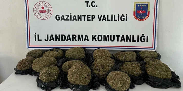 Otobüsün bağajından 18.5 kilo skunk ele geçirildi