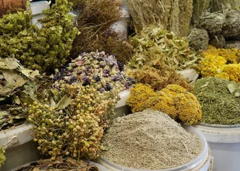 Aktarlara ilgi arttı