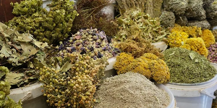 Aktarlara ilgi arttı
