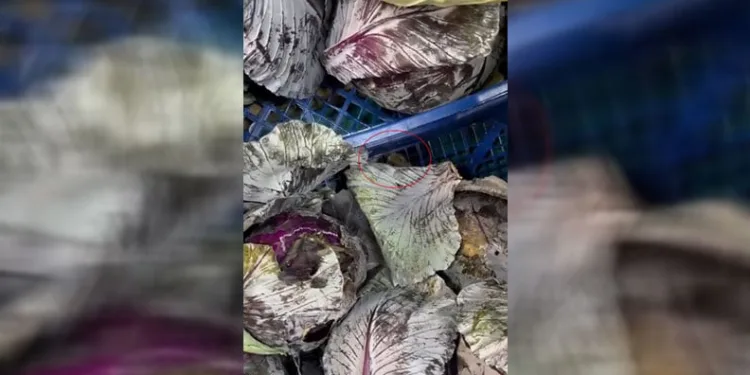 Ankara’da markette fare skandalı