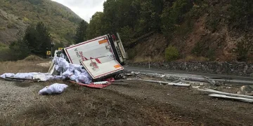 Kontrolden çıkan TIR yola devrildi