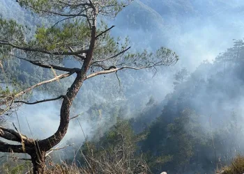 Hatay’daki orman yangını sürüyor