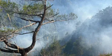 Hatay’daki orman yangını sürüyor