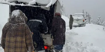 Yaylalarda mahsur kalan yaylacılar hayvanları ile birlikte kurtarıldı