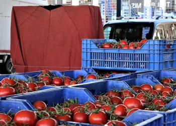 Antalya’da domatesin miktarı düştü, fiyatı arttı