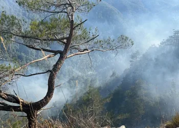 Hatay’daki orman yangını kontrol altında