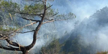 Hatay’daki orman yangını kontrol altında