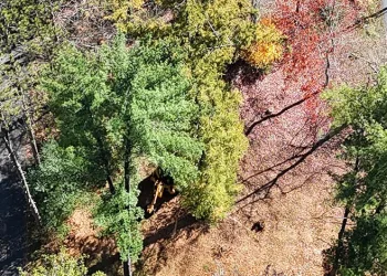 FETÖ elebaşının çiftliğinin yakınlarındaki otellerde yoğunluk