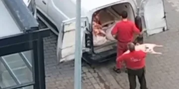 Esenyurt’ta mide bulandıran anlar kamerada