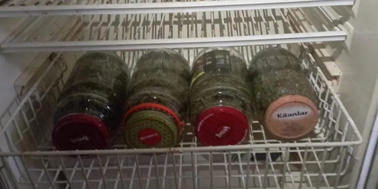 Buzdolabına saklanmış uyuşturucu bulundu