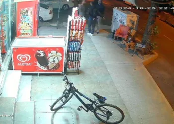 Çiftçinin zeytinine jandarma koruması