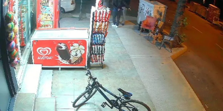Çiftçinin zeytinine jandarma koruması