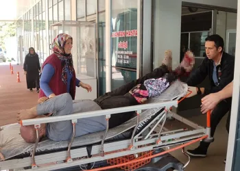 Bursa’da motorlu testere ile odun keserken bacağını kesti