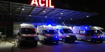 Çobanı kurtarmak isteyen 2 kişi hayatını kaybetti