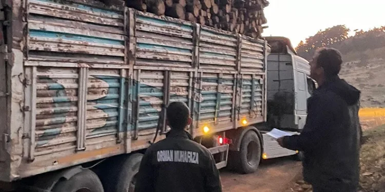 Bursa’da ormanda mobil kontrol noktalarıyla şok denetimler