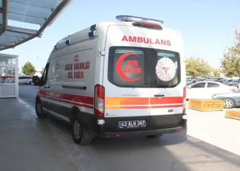 Kütahya’da anız yangını ormana sıçradı