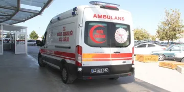 Kütahya’da anız yangını ormana sıçradı