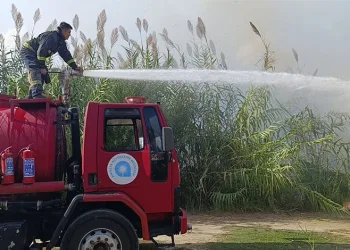 Manavgat’ta kargılık alanda çıkan yangın söndürüldü