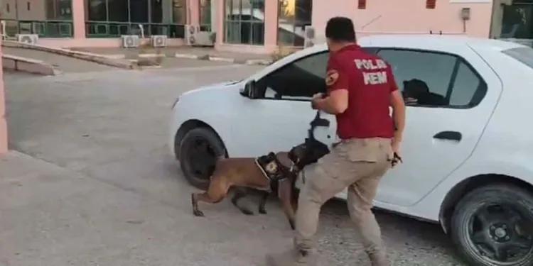Osmaniye’de durdurulan otomobilde 33 kilo 400 gram uyuşturucu çıktı