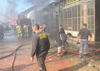 Samsun’da 5 gündür kayıp kadın ormanda ölü bulundu