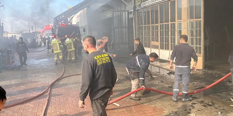 Samsun’da 5 gündür kayıp kadın ormanda ölü bulundu