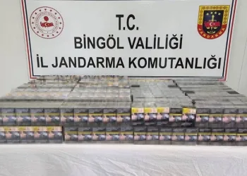 Bingöl’de kaçak kazı yapan 2 kişi yakalandı