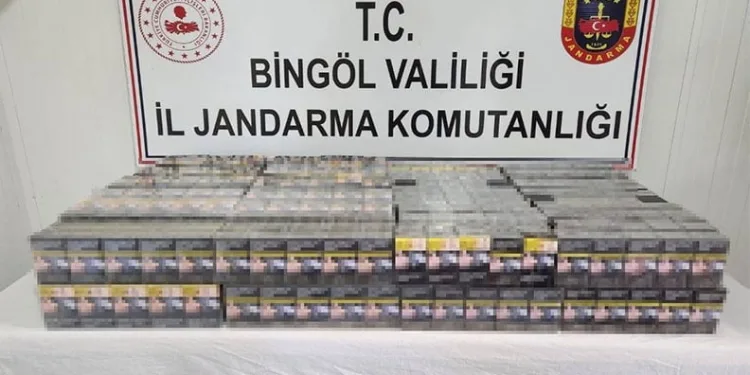 Bingöl’de kaçak kazı yapan 2 kişi yakalandı