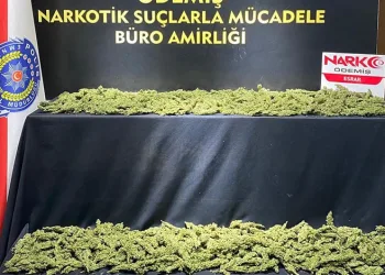 Merdivende piknik tüpüyle yapılan pişi yangın çıkardı