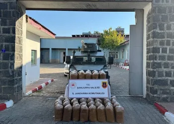 Siverek’te 240 kilo kaçak tütün yakalandı