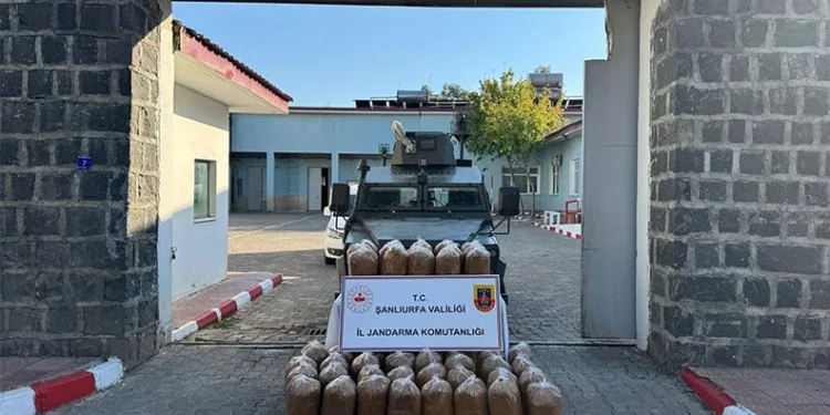 Siverek’te 240 kilo kaçak tütün yakalandı